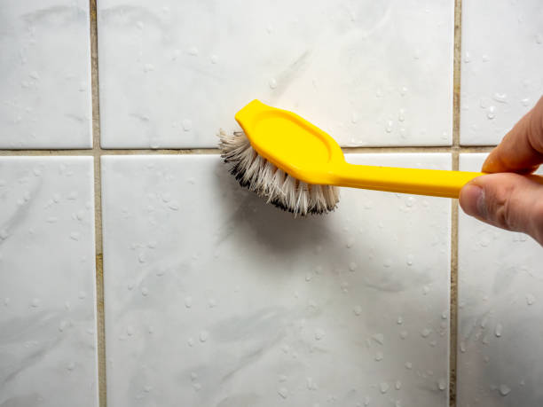Best Same-Day Mold Removal  in Tylertown, MS