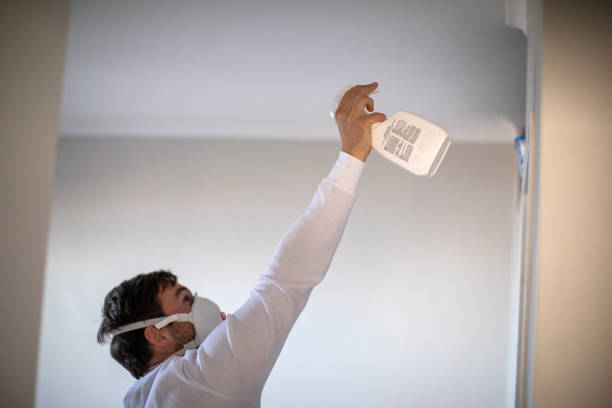 Best Residential Mold Removal  in Tylertown, MS