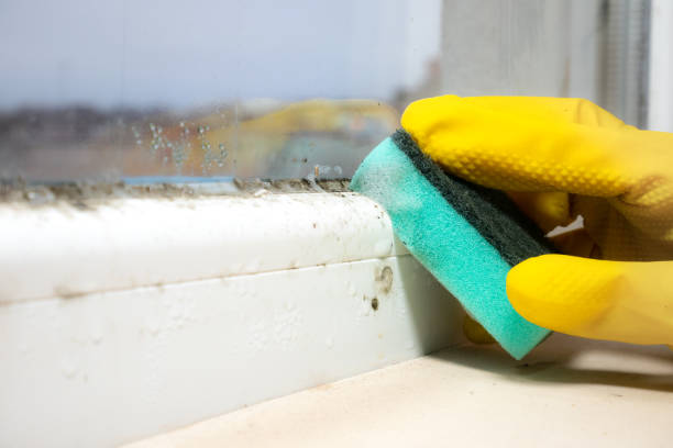 Best Mold Testing  in Tylertown, MS
