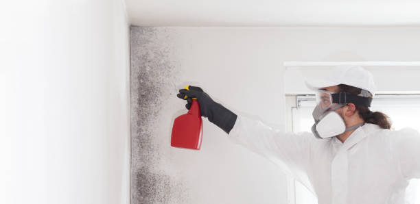 Best Mold Testing  in Tylertown, MS